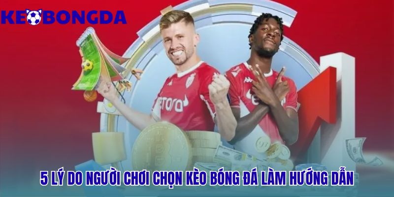 Năm ưu điểm vượt trội từ tốc độ cập nhật đến phân tích sâu