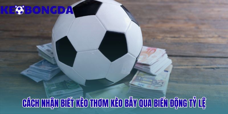 Biến Động Tỷ Lệ Kèo Là Gì? Cách Nhận Biết Kèo Thơm – Kèo Bẫy 2 Giải mã kèo thơm kèo bẫy qua các dấu hiệu biến động tỷ lệ
