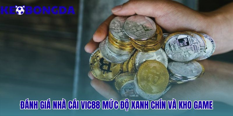 Vic88 | Đánh Giá Uy Tín - Sảnh Thể Thao Xanh Chín 1 Đánh giá Vic88 qua tính công bằng và sự đa dạng sản phẩm
