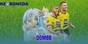 dom88