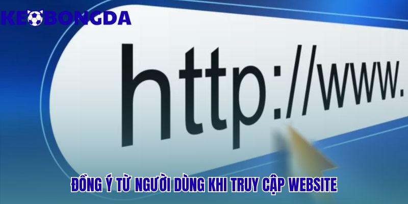 Truy cập website là chấp thuận vô điều kiện miễn trừ trách nhiệm