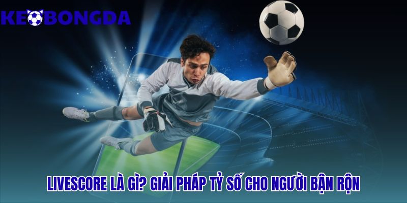 Livescore 35 Livescore giải pháp thông tin cho người hâm mộ bận rộn