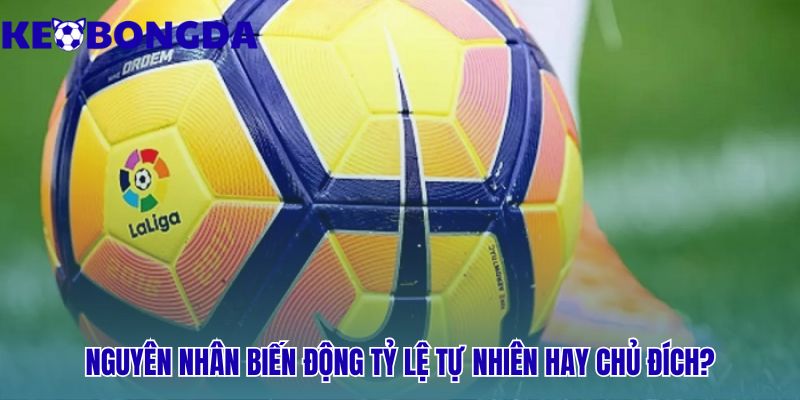 Biến Động Tỷ Lệ Kèo Là Gì? Cách Nhận Biết Kèo Thơm – Kèo Bẫy 1 Biến động tỷ lệ kèo là gì? cách nhận biết kèo thơm – kèo bẫy và ý đồ