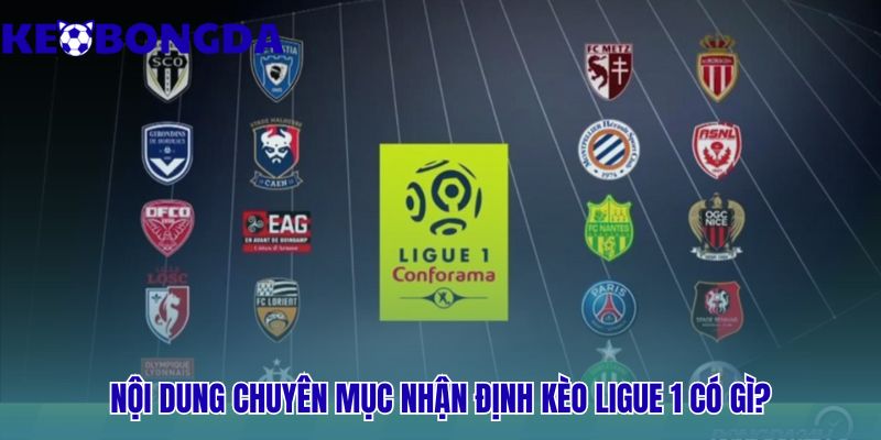 Ligue 1 30 Nhận định kèo Ligue 1 cung cấp bộ công cụ phân tích toàn diện
