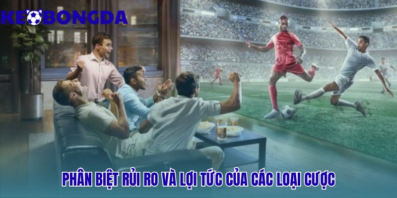 Đánh giá rủi ro và lợi tức giữa kèo châu Á và châu Âu