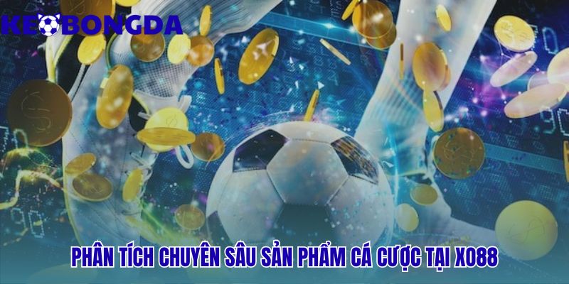 Sản phẩm cá cược Xo88 thể hiện sức mạnh của nhà cái
