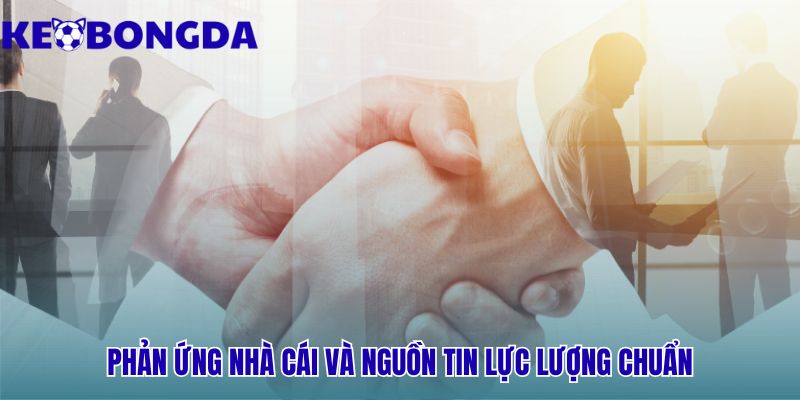 Ảnh Hưởng Của Chấn Thương Thẻ Phạt Đến Tỷ Lệ Kèo Trước Trận 3 Nắm bắt ảnh hưởng của chấn thương & thẻ phạt đến tỷ lệ kèo trước trận