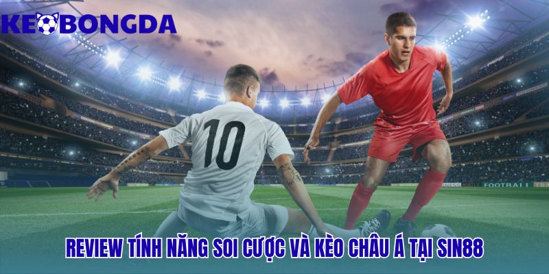 Tính năng soi cược Sin88 tích hợp công cụ phân tích kèo