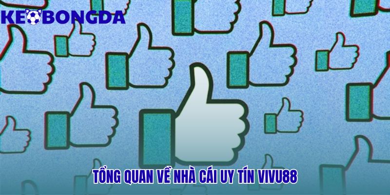 Vivu88 | Kèo Bóng Đá Review Sảnh Thể Thao - Link Mới Nhất 2 Uy tín nhà cái vivu88 thể hiện qua giấy phép và khuyến mãi